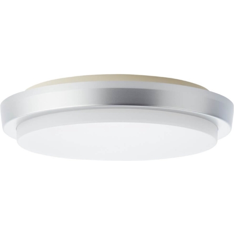 Brilliant Devora G91011A58 LED-buitenlamp (plafond) LED Lichtbron vervangbaar door elektricien 12 W Zilver