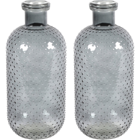 Bloemenvaas Cactus Dots - 2x - donkergrijs transparant - glas - D15 x H35 cm -