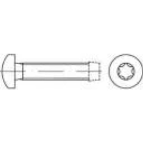 TOOLCRAFT 141266 Tapbouten M6 10 mm T-profiel DIN 7500 Staal Galvanisch verzinkt 1000 stuk(s)