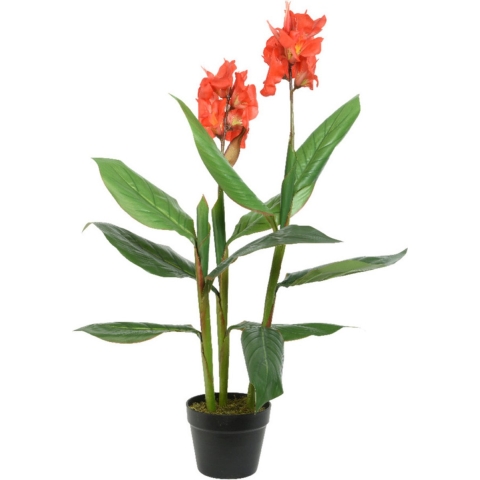 Canna Bloemriet nepplanten/planten 89 cm met zwarte pot -
