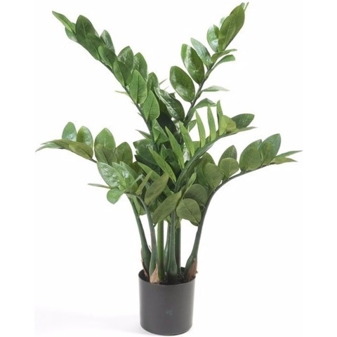 Kunstplant Zamioculcas/kamerpalm 70 cm -
