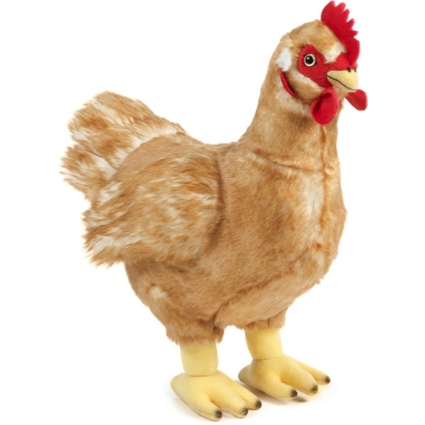 Pluche kip/hen knuffel 35 cm speelgoed -