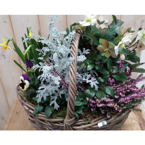 XL mand plantenbak buiten - Warentuin natuurlijk