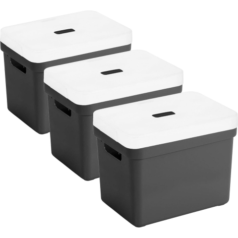 Set van 3x opbergboxen/opbergmanden zwart van 18 liter kunststof met transparante deksel -