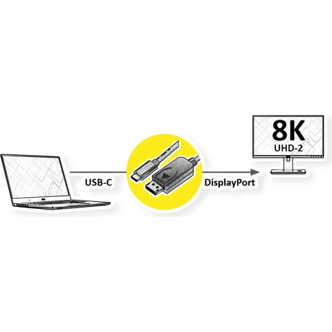 ROLINE USB type C - DisplayPort adapterkabel, v1.4, M/M, 3 m