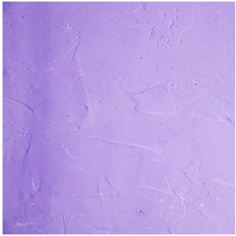 BRESSER Flatlay Achtergrond 60 x 60cm Lila Texture