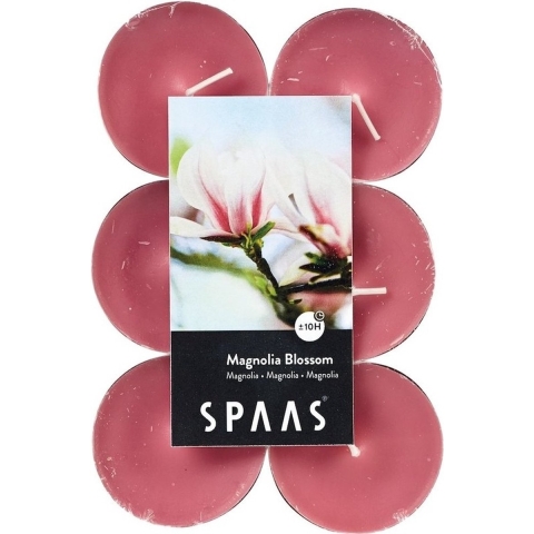Maxi Geurtheelichtjes/waxinelichtjes - 60x - Magnolia Blossom - 10 branduren -