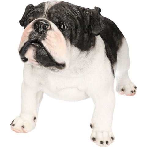 Dierenbeeld Engelse Bulldog - polystone - staand - 41 x 21 x 27 cm - huisdieren honden beeldjes -
