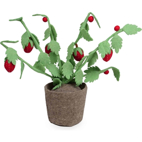 Plant KidsDepot Strawberry