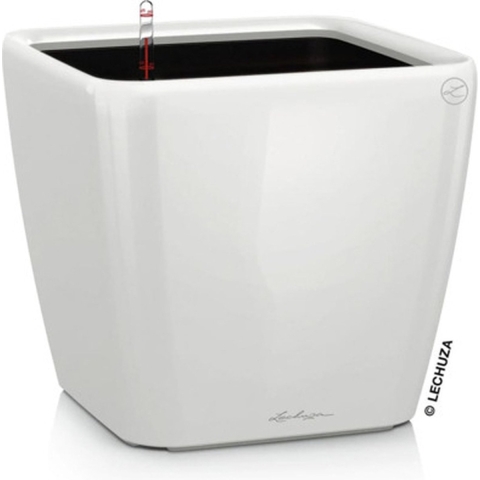 Lechuza Quadro Premium 16120 Plantcontainer Wit