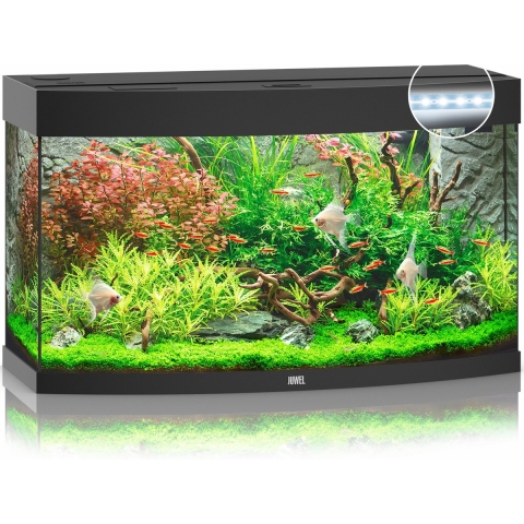Juwel aquarium Vision 180 LED met filter zwart - Gebr de boon