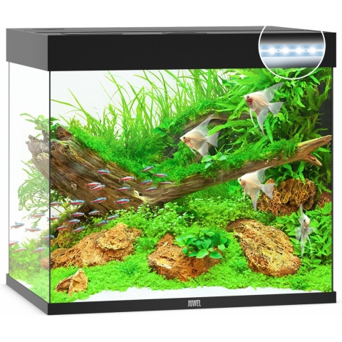 Juwel aquarium Lido 200 LED met filter zwart - Gebr de boon