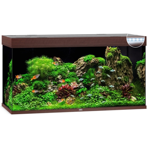 Juwel aquarium Rio 350 LED met filter donkerbruin - Gebr de boon