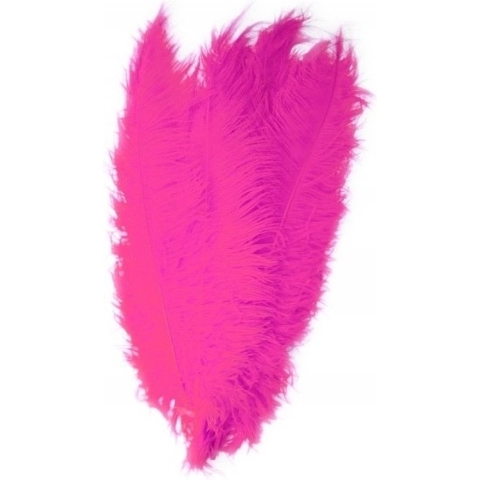 Carnaval verkleed veer/struisvogelveren - 10x - roze - 50 cm - Carnaval - Sierveren/charleston veren -