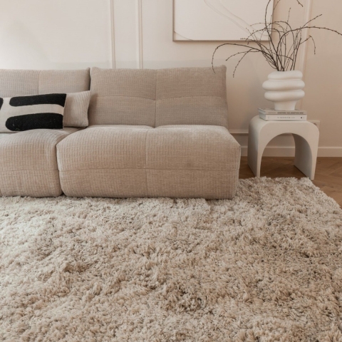 Interieur05 Hoogpolig Vloerkleed Polyester Beige Pilo 80x150cm