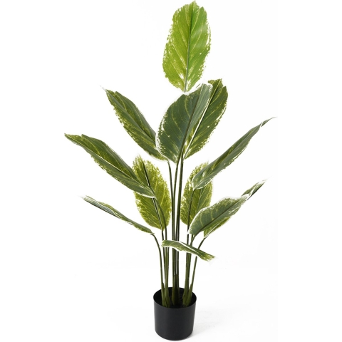 present time - Artificial Plant Calathea Large