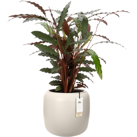 Elho Amber Beads Small 40 - Linnen wit - L 39 x B x H 35 cm - Binnen en Buiten - 100% gerecycled