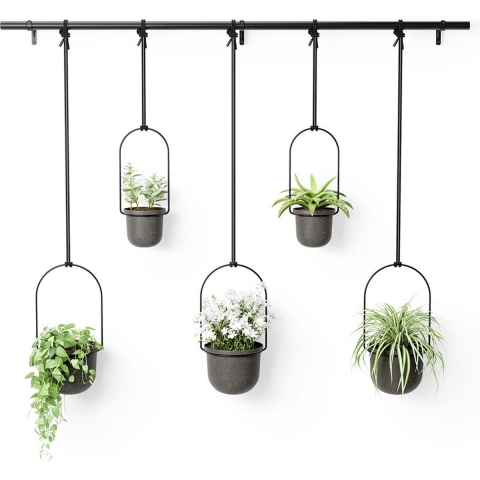 Umbra Triflora Hangende Bloempotten 5