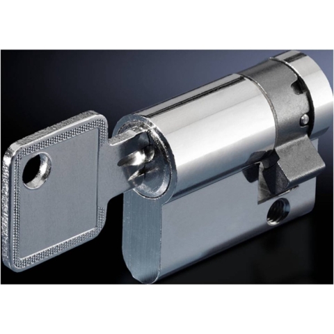 Rittal CS 9785.042 Cilinderslot 2 stuk(s)