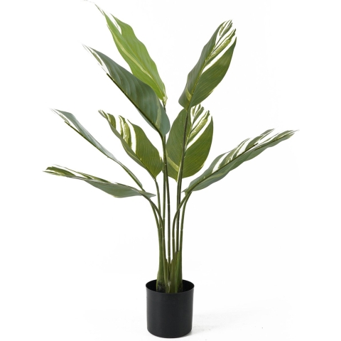 present time - Artificial Plant Calathea