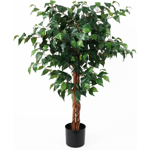 present time - Artificial Plant Fig Ficus