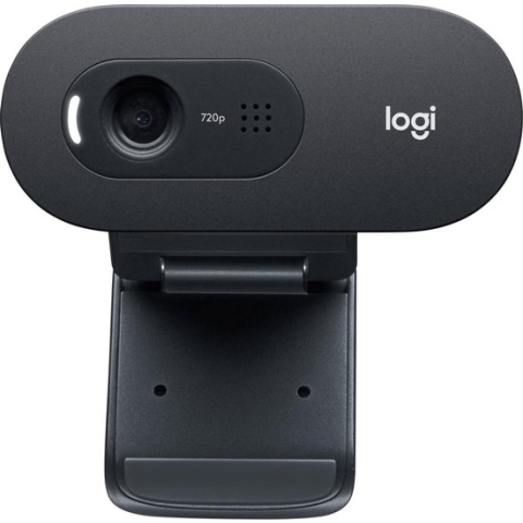 Logitech C505e - 1280 x 720 Pixel - 30 fps - 1280x720@30fps - 720p - 60° - USB