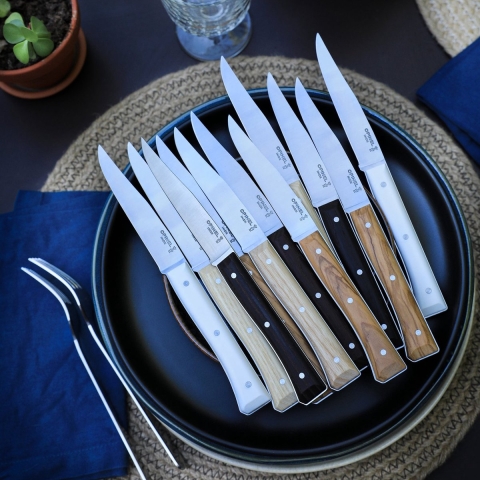 Opinel Facette Tafelmessenset - 11cm - 4-delig - Oliver Olijfhout