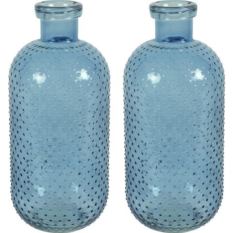 Bloemenvaas Cactus Dots - 2x - blauw transparant - glas - D15 x H35 cm -