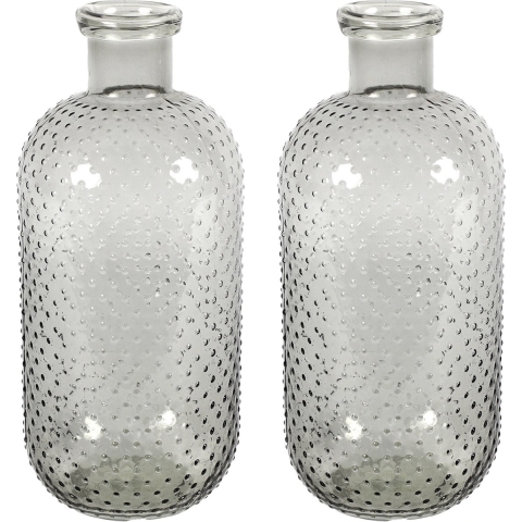 Bloemenvaas Cactus Dots - 2x - grijs transparant - glas - D15 x H35 cm -