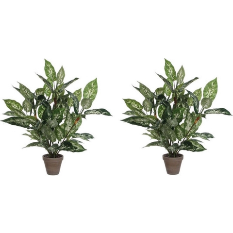 Mica Decorations groene Dieffenbachia kunstplant - 2x - 70 cm - in pot - Kunstplanten/nepplanten -