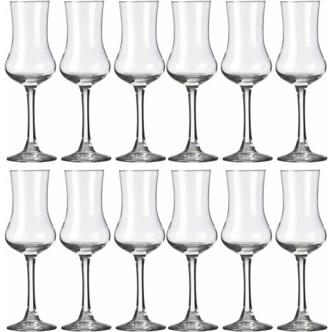 Royal Leerdam Likeur/borrelglazen - 12x stuks - transparant - 90 ml - Specials serie -