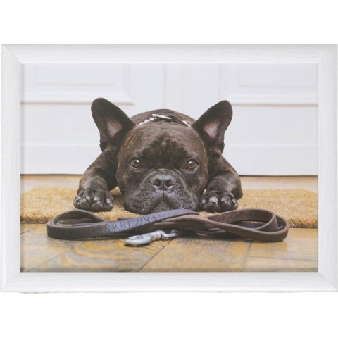 Set van 2 schootkussens/laptrays schattige Franse bulldog honden print 43 x 33 cm -