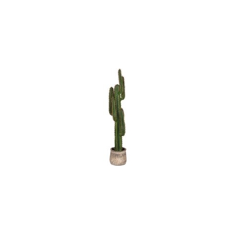 LABEL51 Cactus - Groen - Kunststof - 130