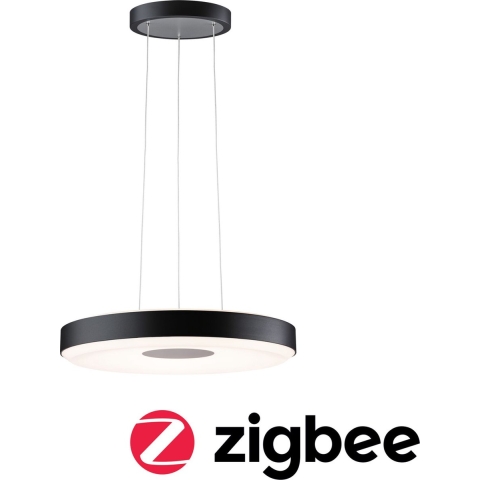 Paulmann Pane 79779 LED-hanglamp 11 W Zwart, Grijs