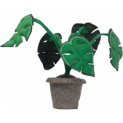 Plant KidsDepot Monstera