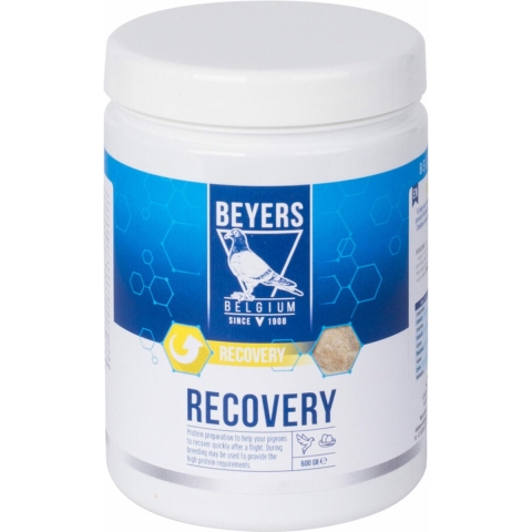 Beyers Recovery 600 gr