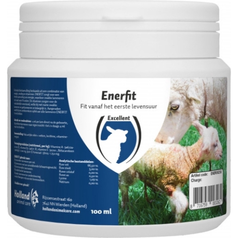 Enerfit Lam"Geit
