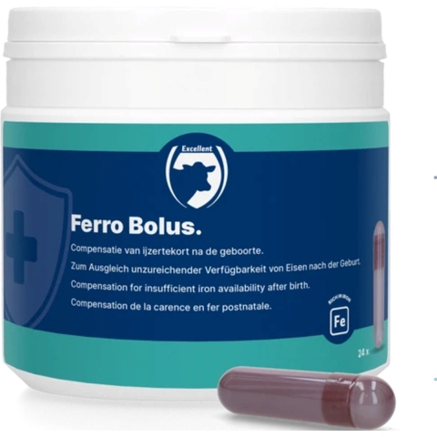 Ferro Bolus