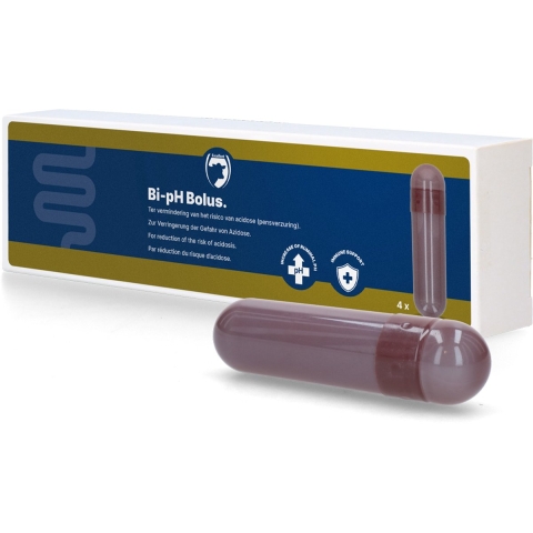 Bi-Ph Bolus (Bicarbonaat Bolus)