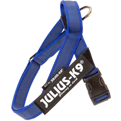 IDC Riemtuig Blauw - Maat Mini Mini