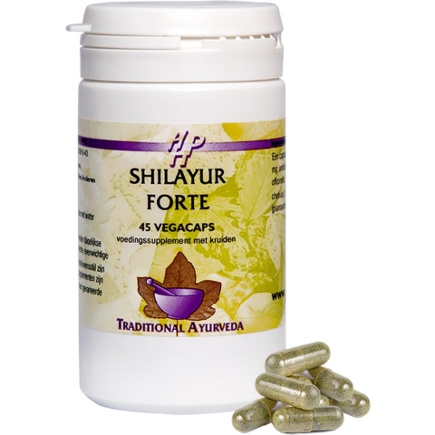 Holisan Shilayur Forte Capsules