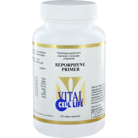 Reporphyne Primer