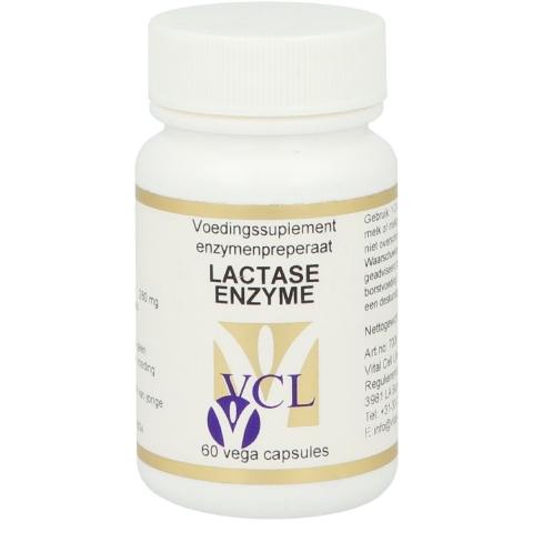 Lactase Enzyme