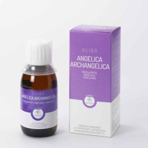 Oligo Angelica archangelica