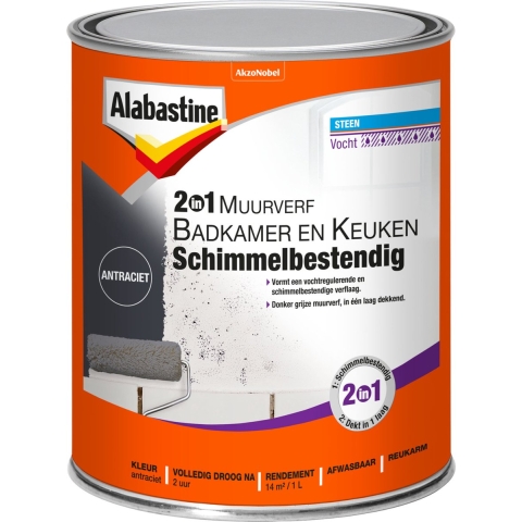 Muurverf Bad En Keuken 2In1 Antr 1L - Alabastine