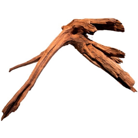 Mangrove aged wood large - Aquadistri