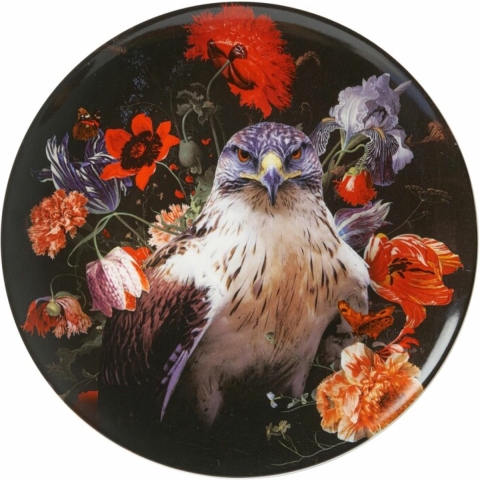 HEINEN - Wandborden - Bord Slechtvalk 26,5cm