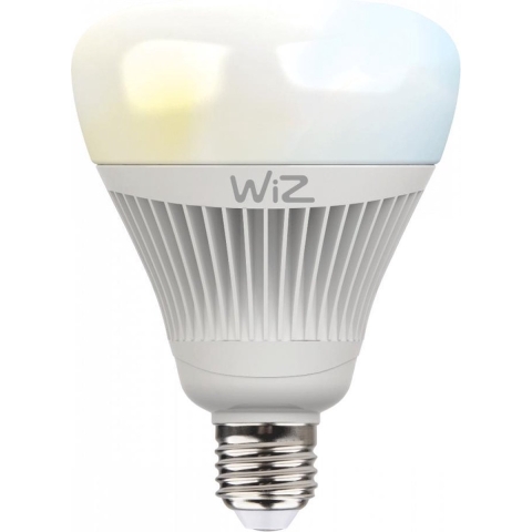 WIZ Whites Smart Ledlamp G100 E27 1-pack