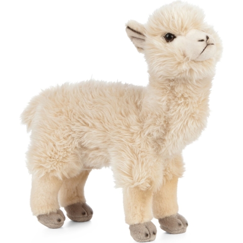 Pluche witte alpaca/lama knuffel 24 cm speelgoed -