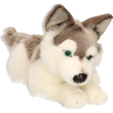 Pluche Husky hond knuffel 30 cm -